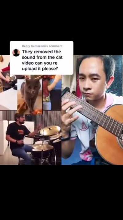 Cat music video
