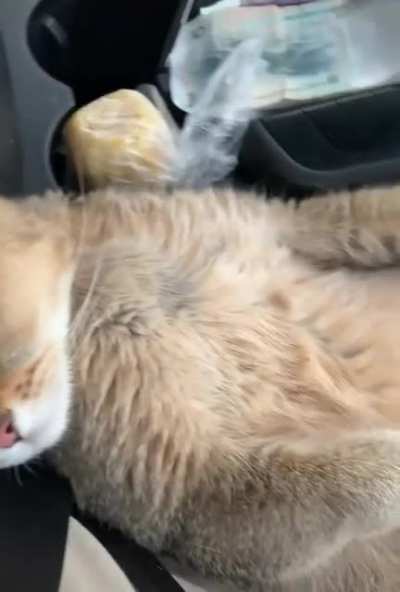 Such a snoozefest