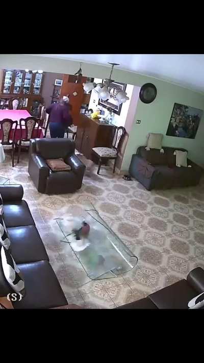 The dog is fast