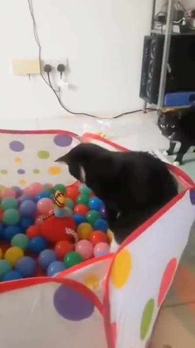Scary balls