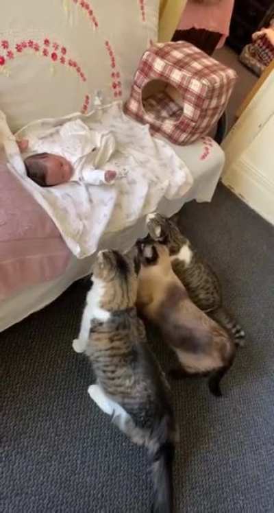 baby sitters