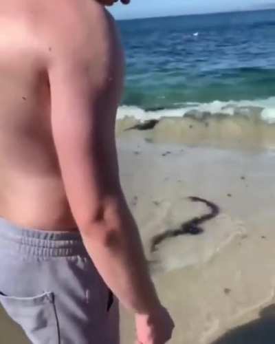 Wrong beach