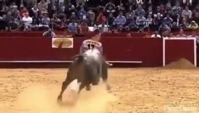 Bucking bull effortlessly