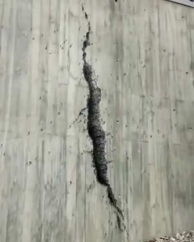 That's a huge crack
