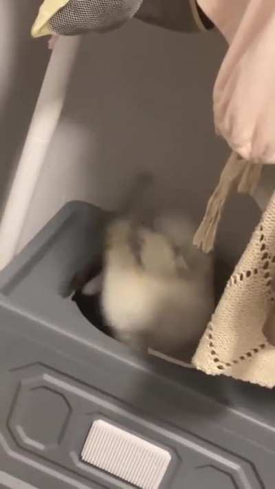 Ohhh ????