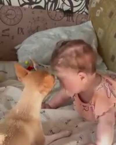 2 Innocents Understand each other's Language