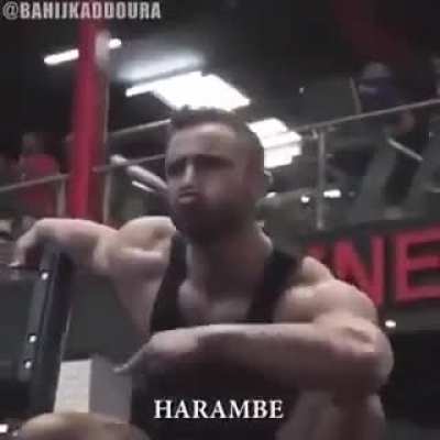 i hate going to the gym