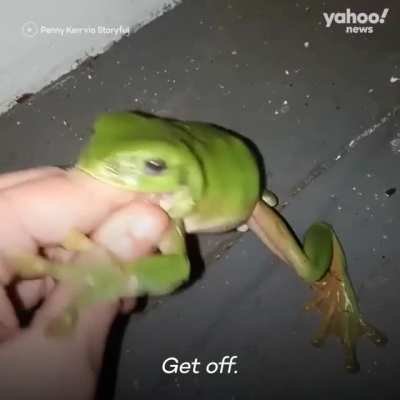 Maybe Maybe Maybe