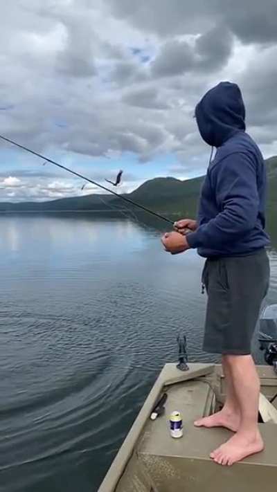bald eagle stealing fish from fishermen in slow motion