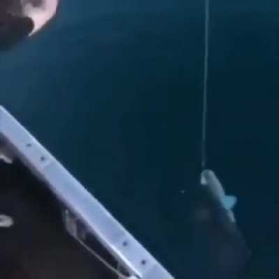 Fishing ?