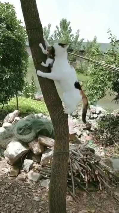 Good Job!