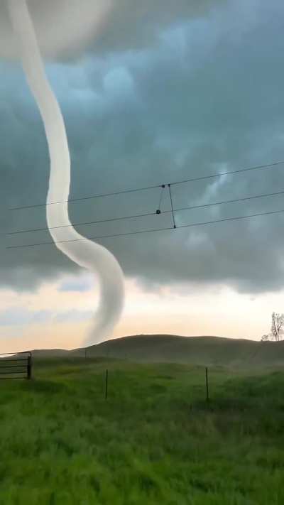 ?A beautiful single-vortex tornado
