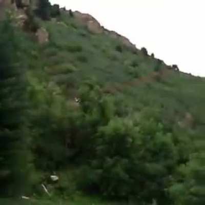 HMB While she flies