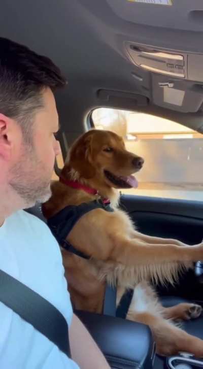 Sunny is done driving. His judgement is highly questionable.?