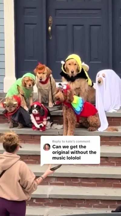 This woman earnestly directing a group dog halloween photoshoot ?