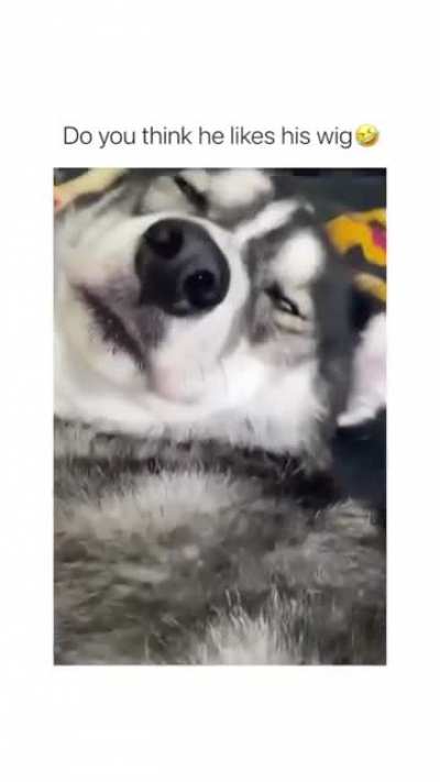 ??lamooo his reaction