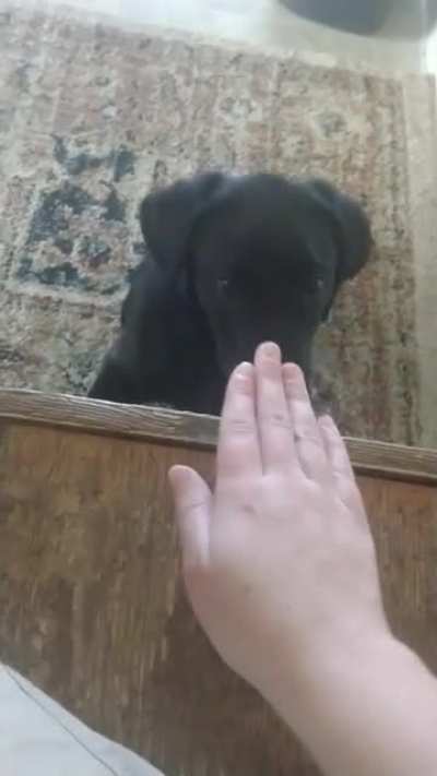 He just wants noms