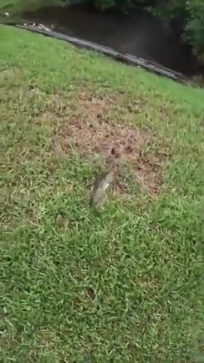 Drive-by fishing ?