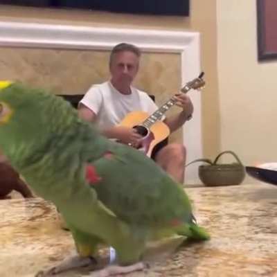 EurovisionBirb