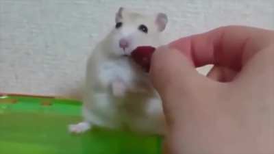 Maybe maybe maybe