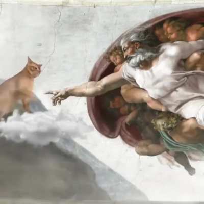 Jesus cat?