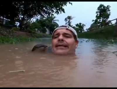 ?man greeted by otter in water