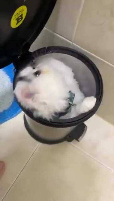 If it fits I sits