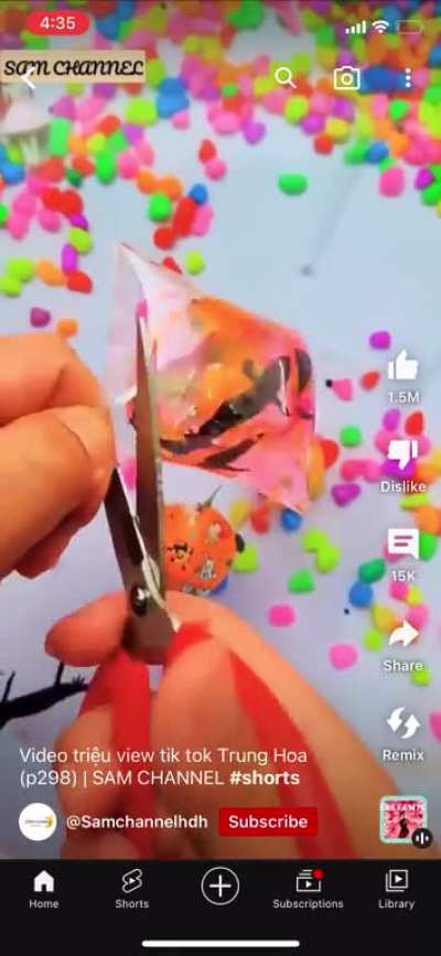 Casual animal abuse on TikTok/YouTube like there always is.