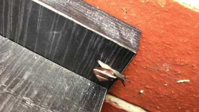 ? So satisfying seeing this little guy overcome a corner in his life! ?