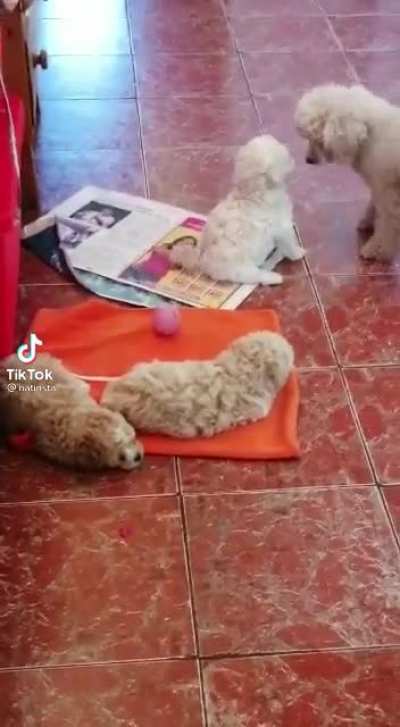 F*ck you