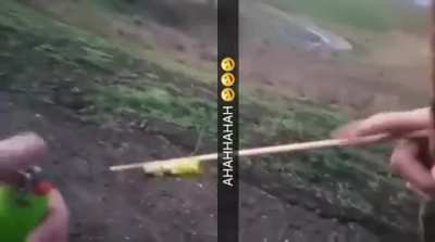 Maybe Maybe Maybe