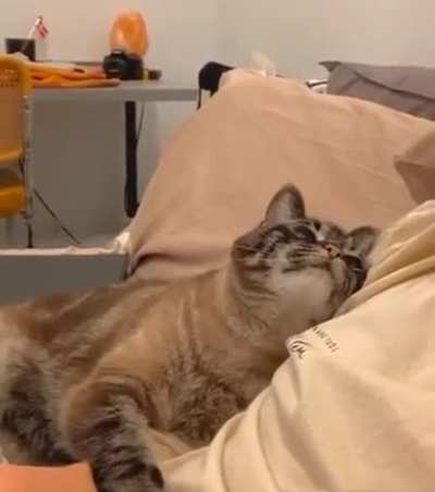 That look ?