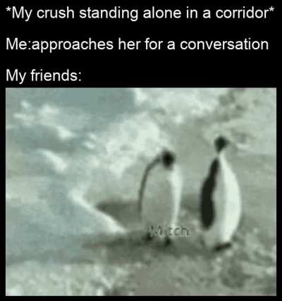 They always make me look like a derp