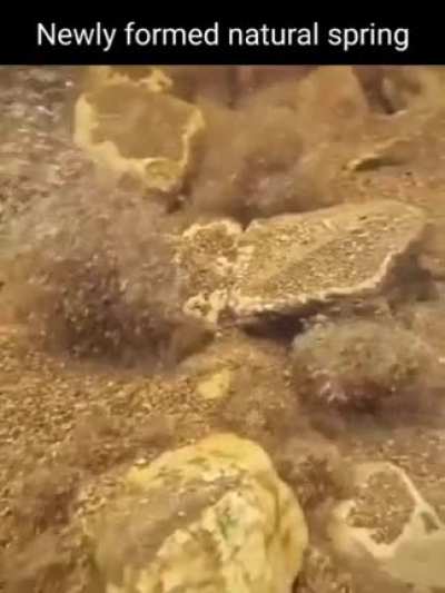 Where is this?