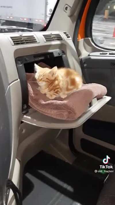This old trucker talking about a kitten he rescued ?
