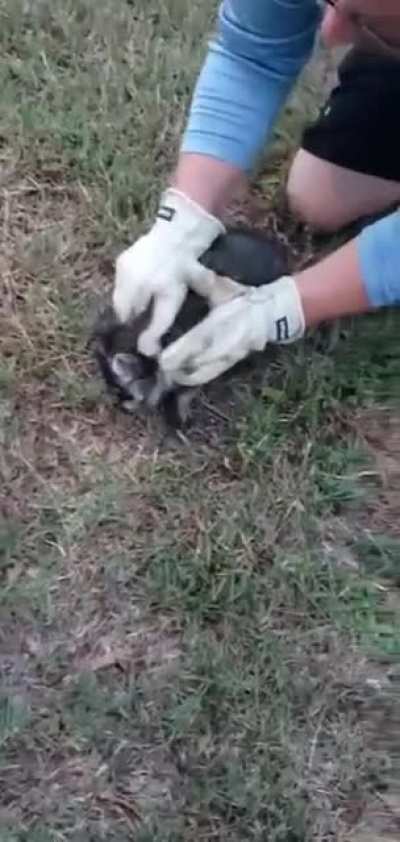 aww so cute ........