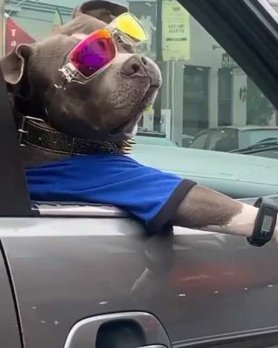 What's up Dogg ?