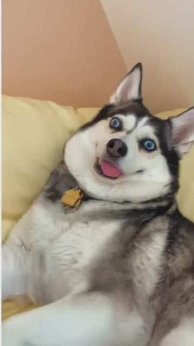 Please Wait - Update Installing
