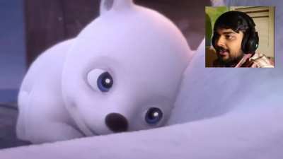 Polar bear ?