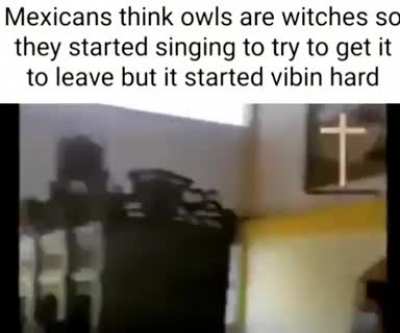 to scare an owl
