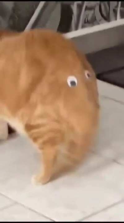 Name this elephant