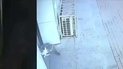I dont know what Catagory this fits in.