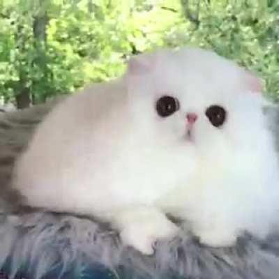 Its a cloud with eyes?