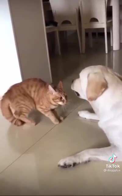 Just a nibble