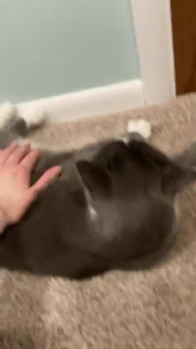 he’s as soft as he looks ?