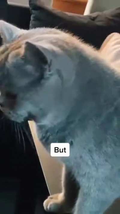 Huh