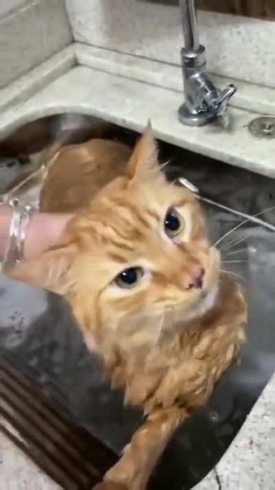 Wahbebbbbbbb....