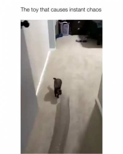 Maybe maybe maybe