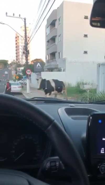 These streets are not safe for motorcyclists