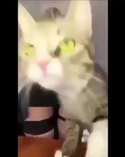 To see some underwear